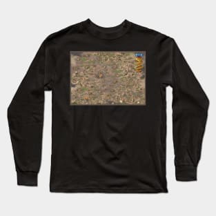 Transylvania fantasy map Long Sleeve T-Shirt